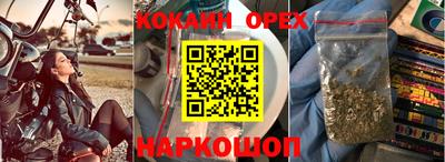 Альфа ПВП Новозыбков