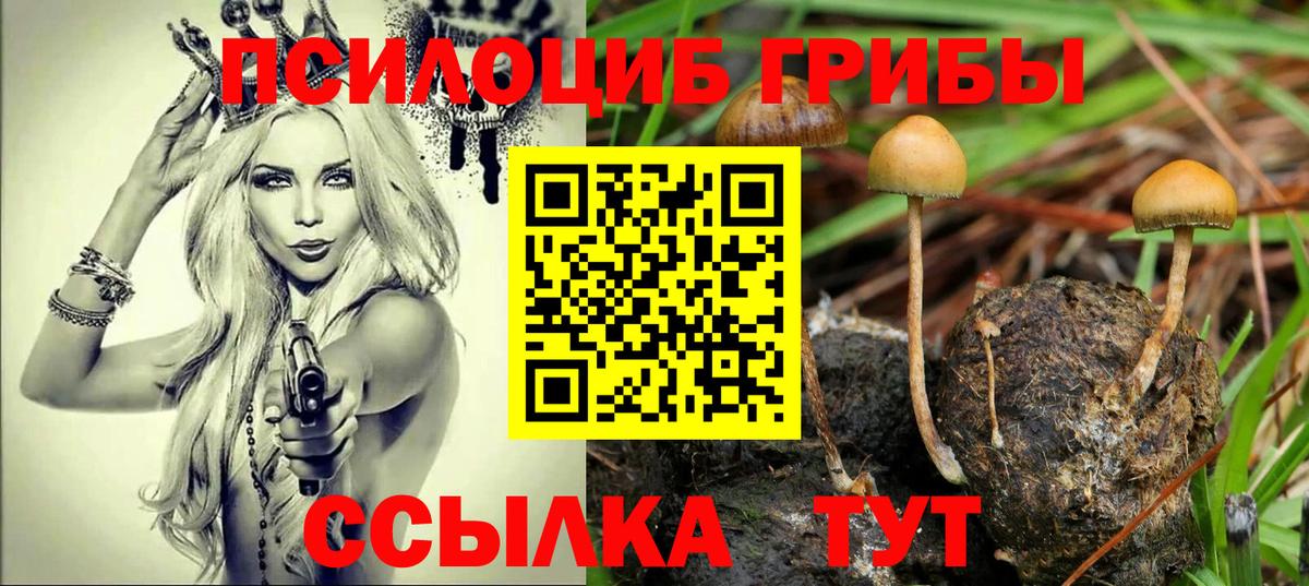 Галлюциногенные грибы мухоморы  Псилоцибиновые грибы Psilocybe  Вход с VPN  Орехово-Зуево 