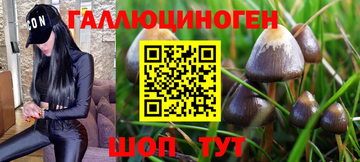 Галлюциногенные грибы GOLDEN TEACHER Орехово-Зуево
